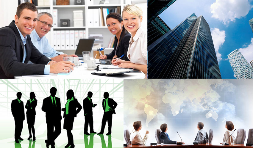 About Us - Green Hicare Pest Control